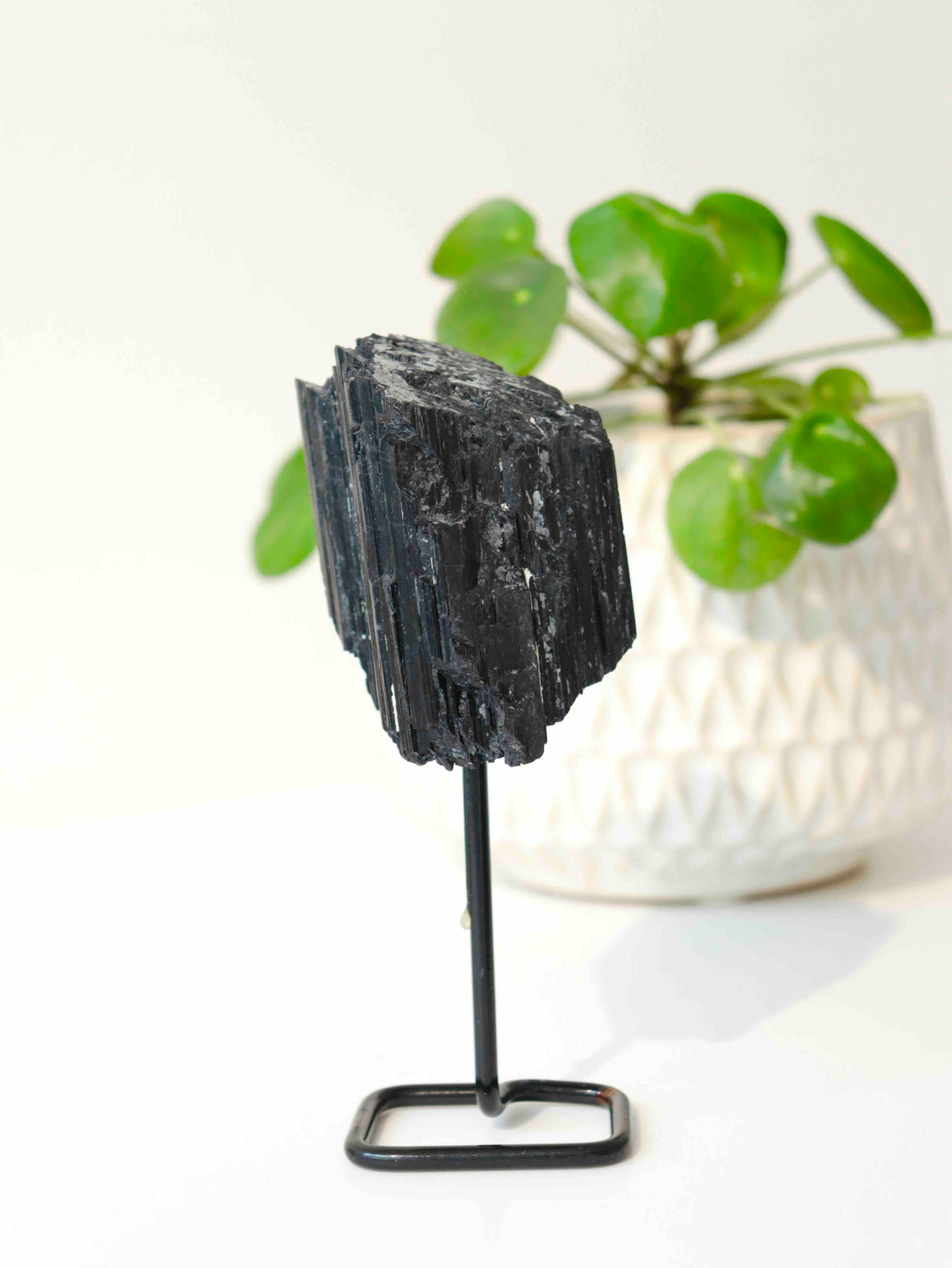 Tourmaline noire brute aux stries profondes et aux contours irréguliers, montée sur un pied métallique noir devant une plante verte.