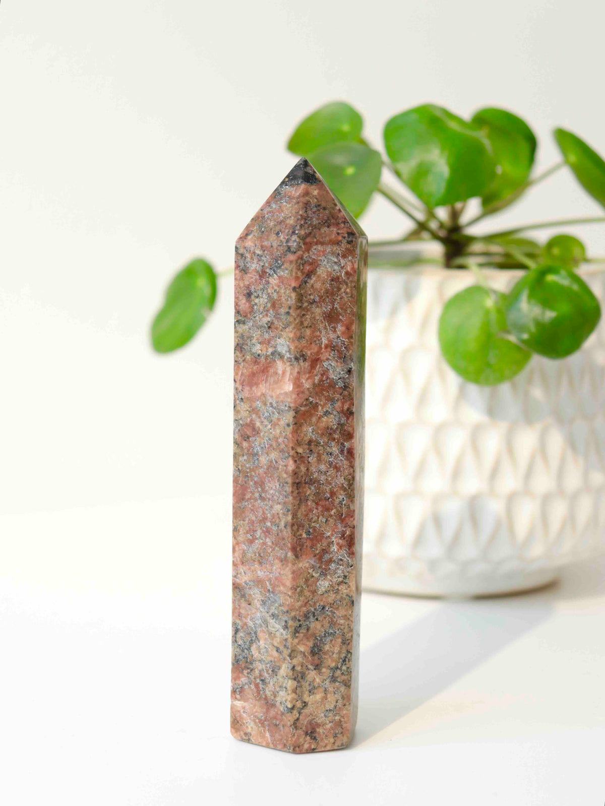 Pointe polie en jaspe léopard rose et beige, mouchetée de gris et de noir, posée à la verticale devant une plante verte. 