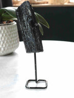 Petite Tourmaline noire sur pied 𖢻 Éloigner les énergies négatives