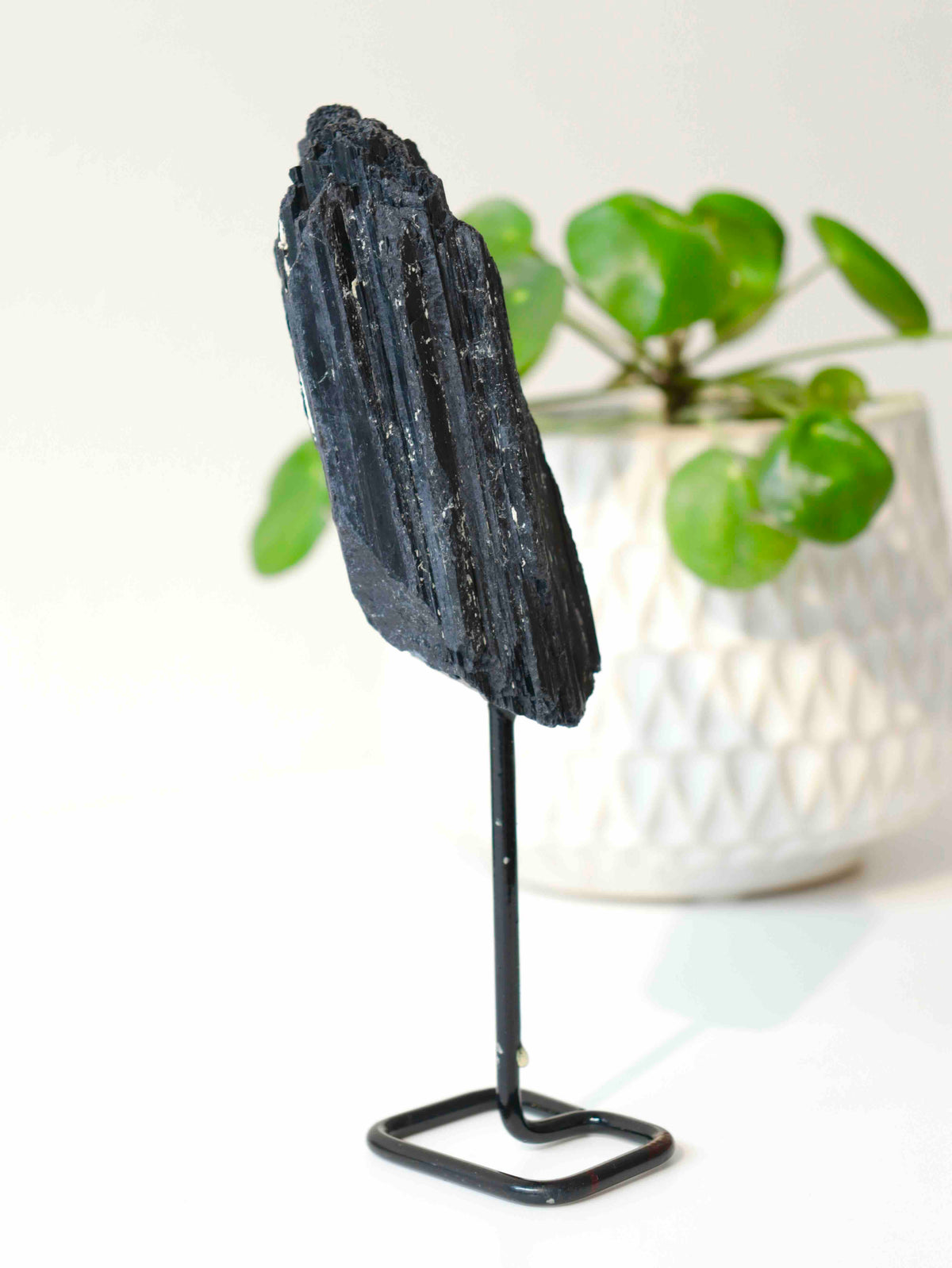 Tourmaline noire brute vue de profil, montrant ses reliefs allongés et ses contours irréguliers, sur un support noir devant une plante verte.