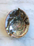 Abalone | Pierre pour la circulation des énergies | SOLYA | Bijoux, pierres, cristaux & minéraux en Belgique | Ethique et naturelles