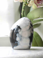 Face du dôme en agate orque dominée par une large zone blanche bordée de gris foncé, devant une orchidée.