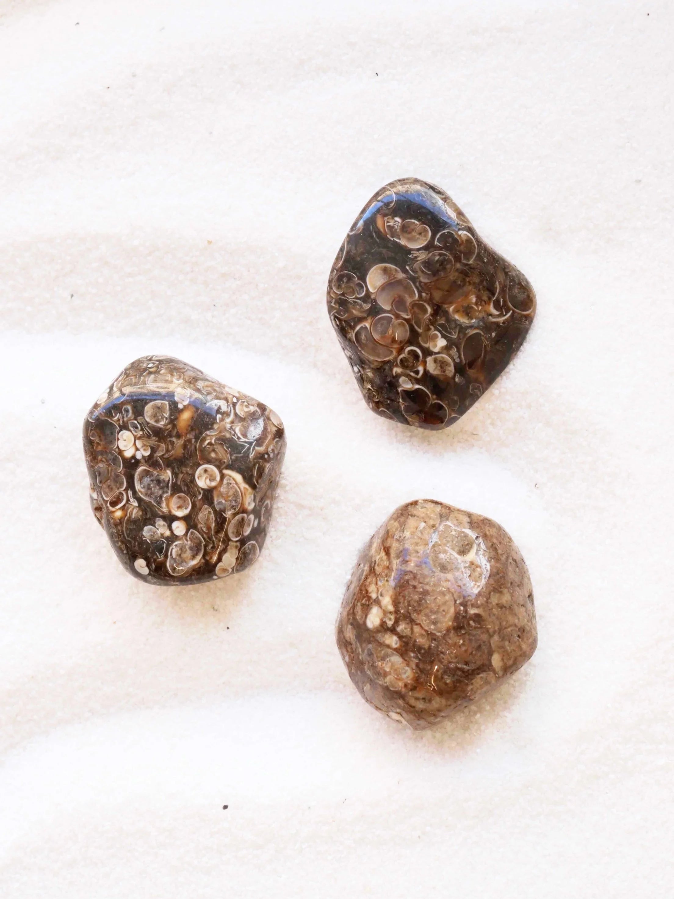 Agate Turritelle | Pierre pour la prosperite | SOLYA | Boutique de pierres naturelles et éthiques en Belgique | Bijoux, Cristaux et Mineraux