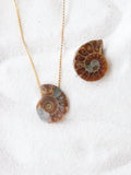 Ammonite percee | Pierre pour la richesse et l'harmonie | SOLYA | Pierres ethiques et naturelles en Belgique | Bijoux, cristaux et mineraux