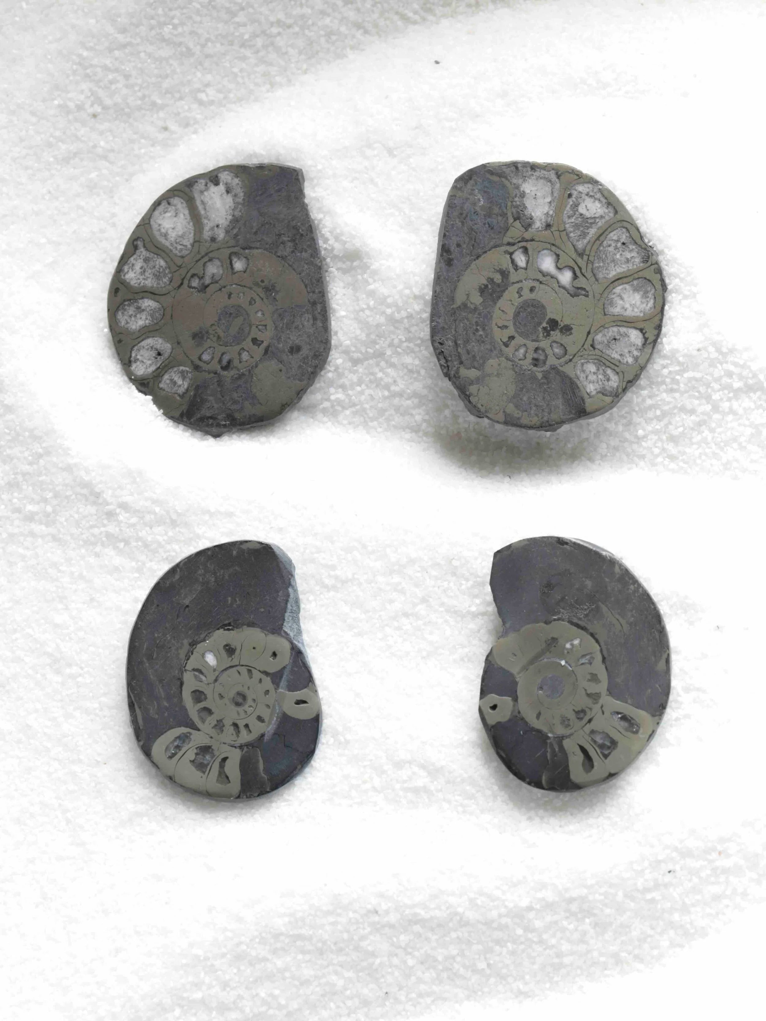 Ammonite pyritisee | Pierre pour l'abondance solaire et la renaissance | SOLYA | Pierres ethiques et naturelles en Belgique | Bijoux, cristaux et mineraux