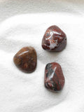 Bois silicifié | Pierre pour le retour à ses racines - SOLYA - Eshop de lithothérapie en Belgique - Magasin de bijoux, cristaux & minéraux - Pierres éthiques & naturelles