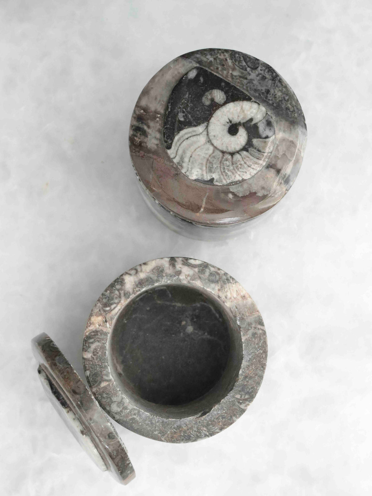 Deux boîtes en orthocéras vues du dessus, l’une fermée avec un fossile spiralé sur le couvercle, l’autre ouverte.