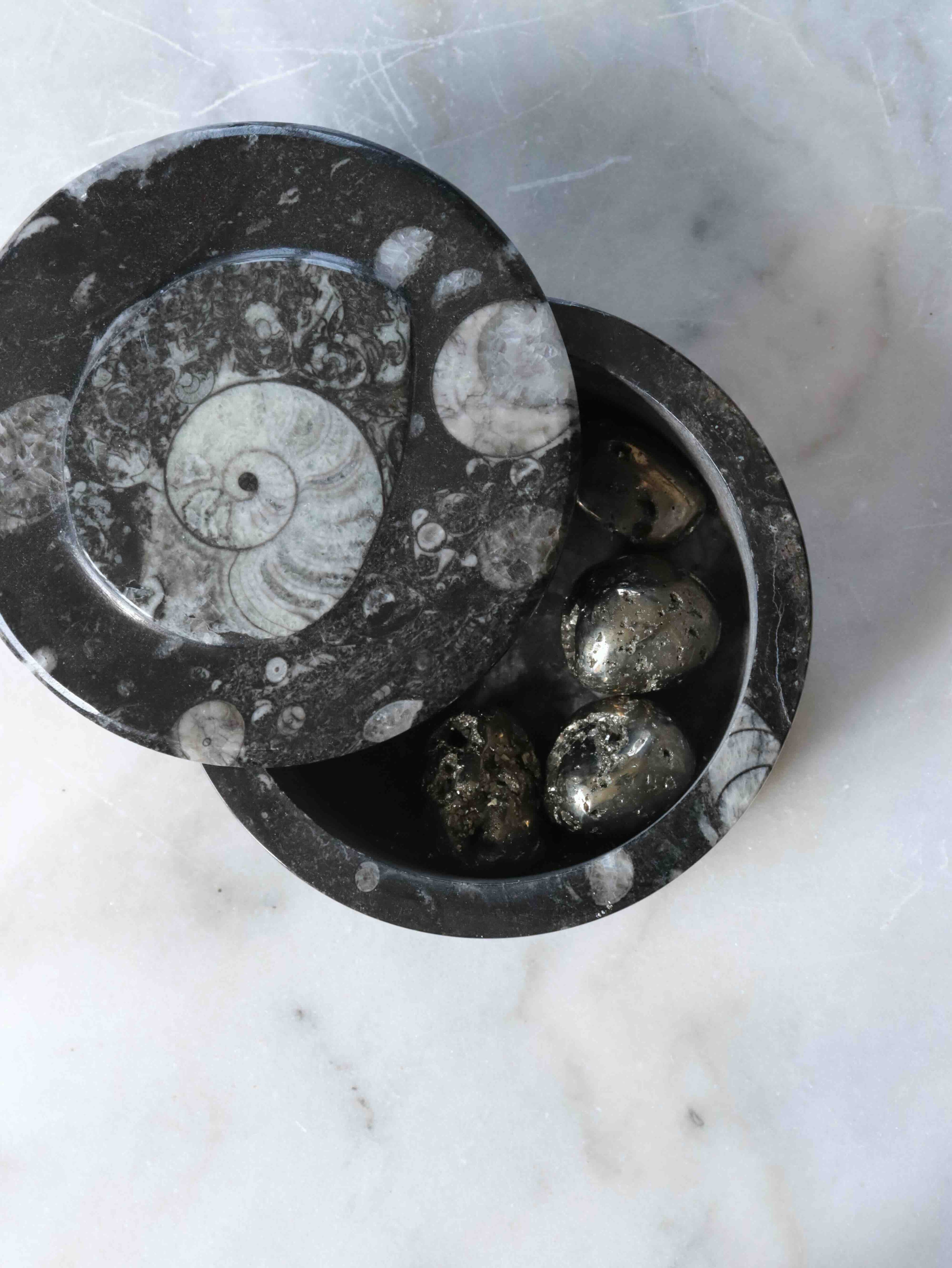 Boîte en Orthocéras ouverte, fossile de mollusque céphalopode sculpté à la main, pièce unique pour harmoniser votre intérieur – SOLYA, Belgique