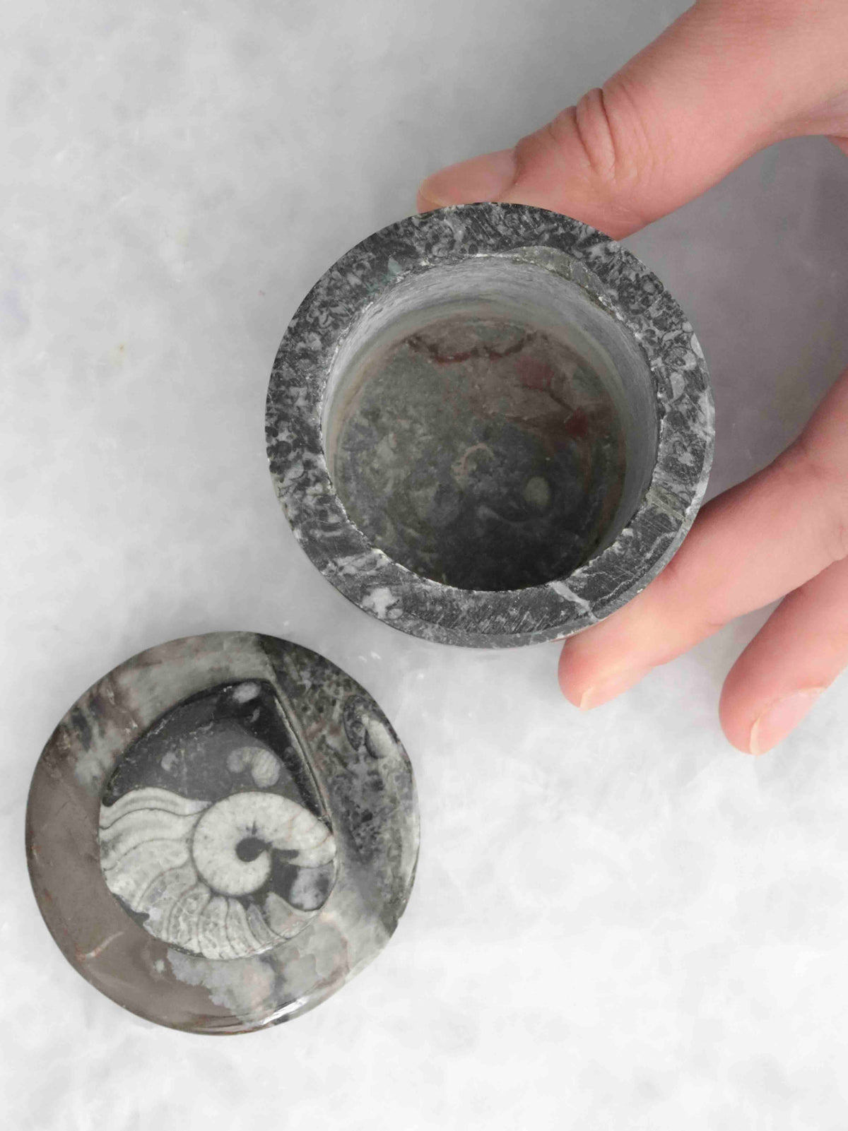Boîte en orthocéras ouverte et tenue entre les doigts, avec son couvercle à fossile spiralé posé à côté.