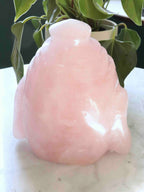 Bouddha Quartz rose du Bresil - Pierre pour l'Amour & la douceur - SOLYA - Bijoux, Cristaux et mineraux en Belgique - Boutique de pierres naturelles et ethiques