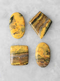 Quatre cabochons polis de jaspe bourdon, deux ovales et deux quadrangulaires, aux motifs jaunes, gris, bruns et noirs sur fond clair.