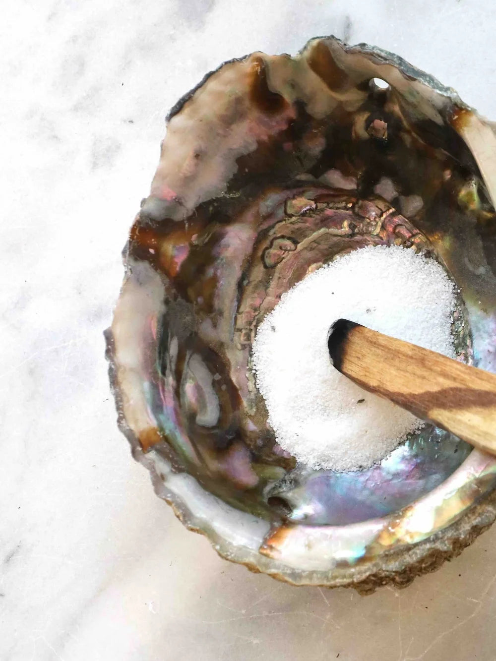 Coquille d'Ormeau| Pierre pour la circulation des énergies | SOLYA | Bijoux, pierres, cristaux & minéraux en Belgique | Ethique et naturelles