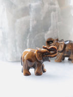 Éléphant sculpté en œil-de-tigre aux teintes brunes et dorées, trompe relevée, avec un second éléphant en arrière-plan.