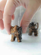 Petit éléphant en œil-de-tigre vu de face et tenu entre deux doigts pour montrer sa taille, avec un second en arrière-plan.