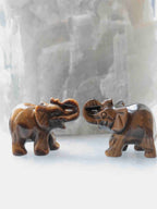 Deux éléphants sculptés en œil-de-tigre, présentés de profil face à face, les trompes relevées.