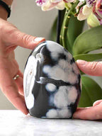  Dôme en agate orque maintenu entre deux mains pour montrer sa taille et ses motifs blancs et gris foncé.