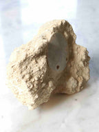 Fossile d'Oursin scutella enchâssé dans sa roche mère, pièce de collection rare pour préserver son espace et son énergie – SOLYA, Belgique