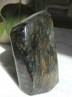 Labradorite L - Pierre pour se sentir protégé - SOLYA - Bijoux, Cristaux et mineraux en Belgique - Boutique de pierres naturelles et ethiques