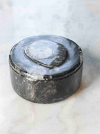 Grande boîte en Orthocéras, 10 cm de diamètre, objet décoratif en fossile éthique pour conserver vos précieux objets – SOLYA, pierres naturelles et éthiques en Belgique