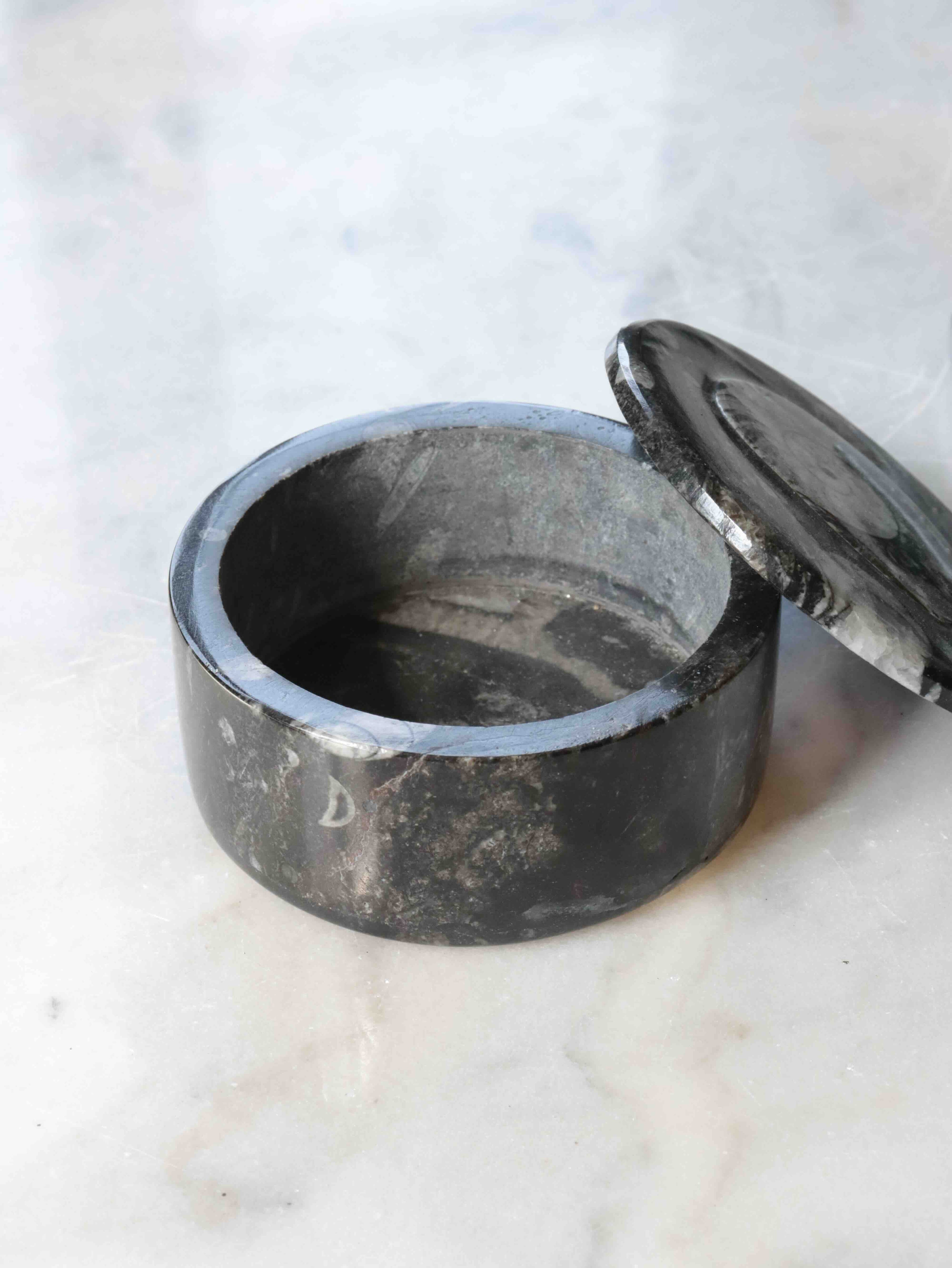 Grande boîte en Orthocéras du Maroc, fossile rare façonné en coffret décoratif, idéal pour faire la paix avec sa mémoire ancienne – SOLYA, Belgique