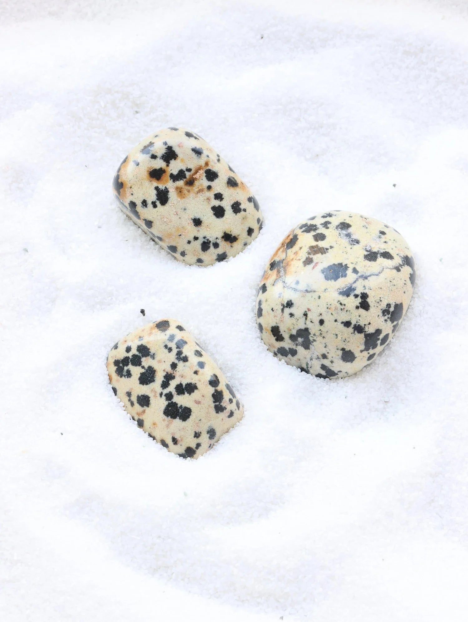 Jaspe dalmatien | Pierre SOLYA pour accepter le changement | Pierres naturelles & éthiques en Belgique | Boutique de bijoux, cristaux & minéraux en ligne