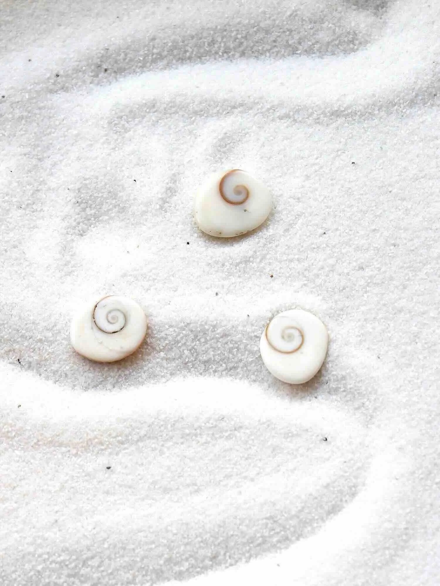 Oeil de Sainte-Lucie | Pierre porte bonheur | SOLYA | Bijoux, pierres, cristaux & minéraux en Belgique | Ethique et naturellesn 