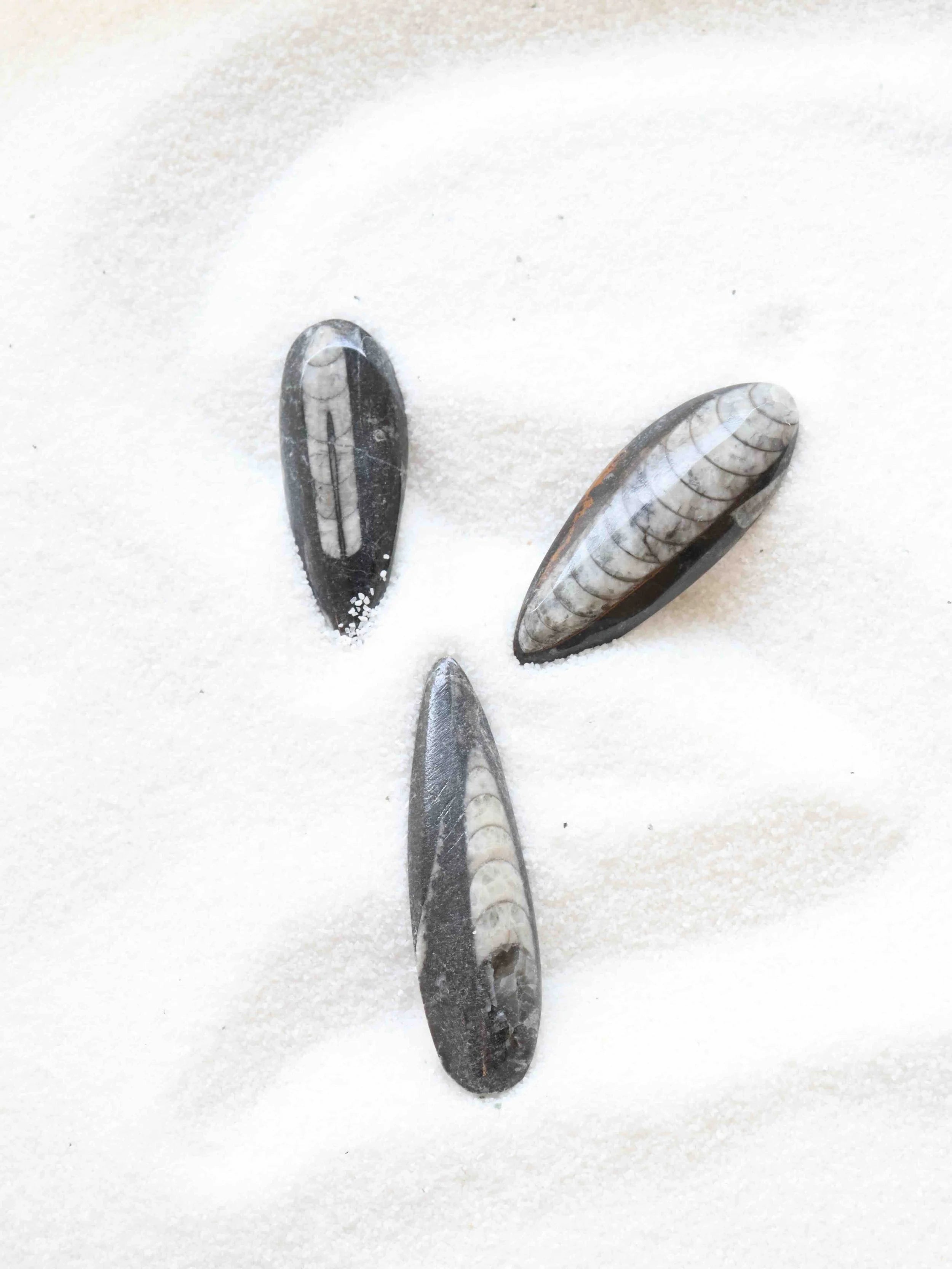 Orthocéras | Pierre pour réconcilier son passé & son présent | SOLYA | Boutique de bijoux, cristaux & minéraux | Eshop de pierres éthiques & naturelles en Belgique