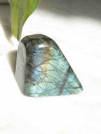Petite Labradorite lentille de Madagascar - Pierre pour se sentir protégé - SOLYA - Bijoux, Cristaux et mineraux en Belgique - Boutique de pierres naturelles et ethiques