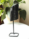 Petite Tourmaline noire sur pied - Pierre pour éloigner les énergies négatives - SOLYA - Bijoux, Cristaux et mineraux en Belgique - Boutique de pierres naturelles et ethiques