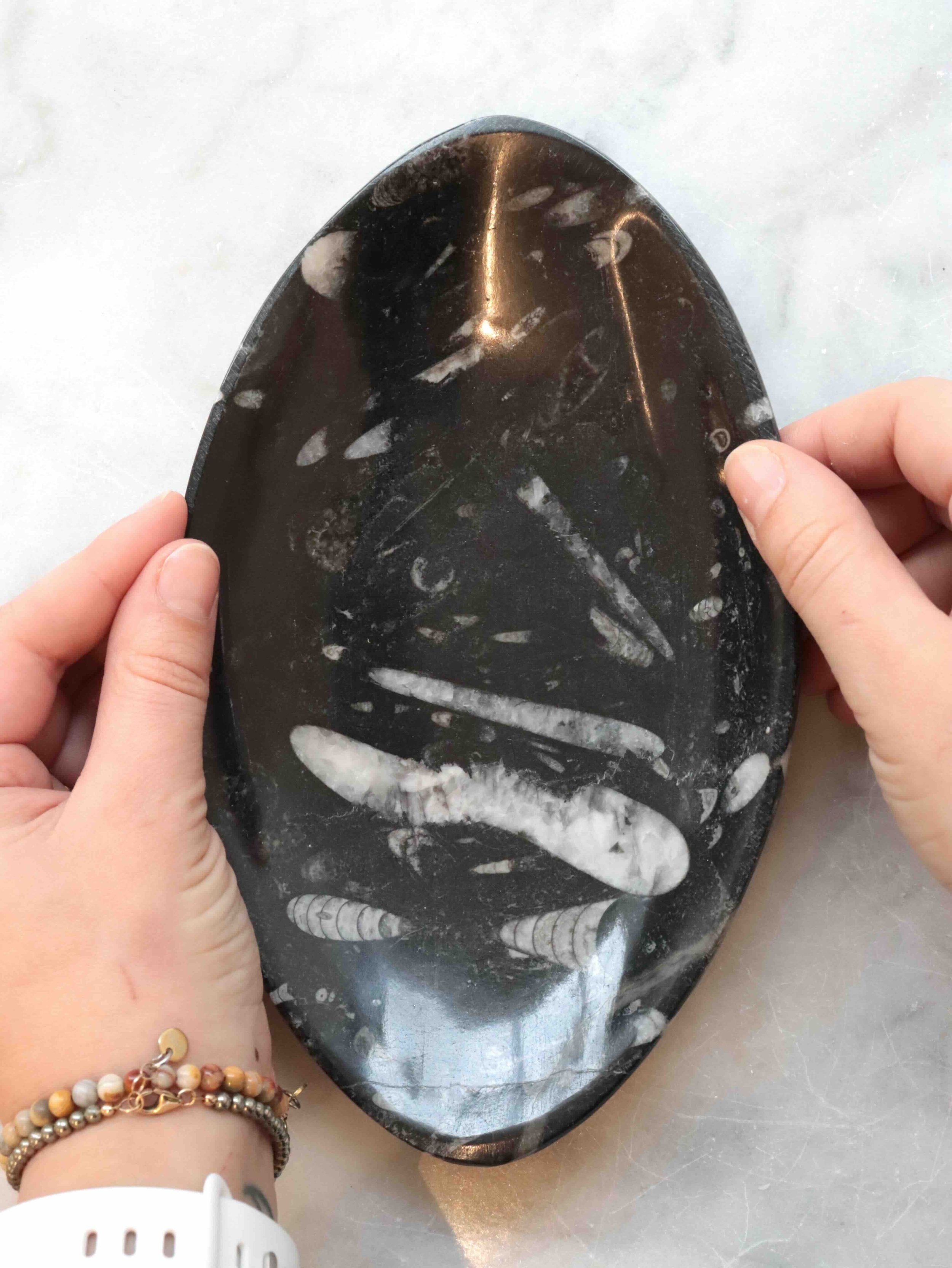 Plat en fossile d'Orthocéras | Pierre pour réconcilier son passé & son présent | SOLYA | Boutique de bijoux, cristaux & minéraux | Eshop de pierres éthiques & naturelles en Belgique