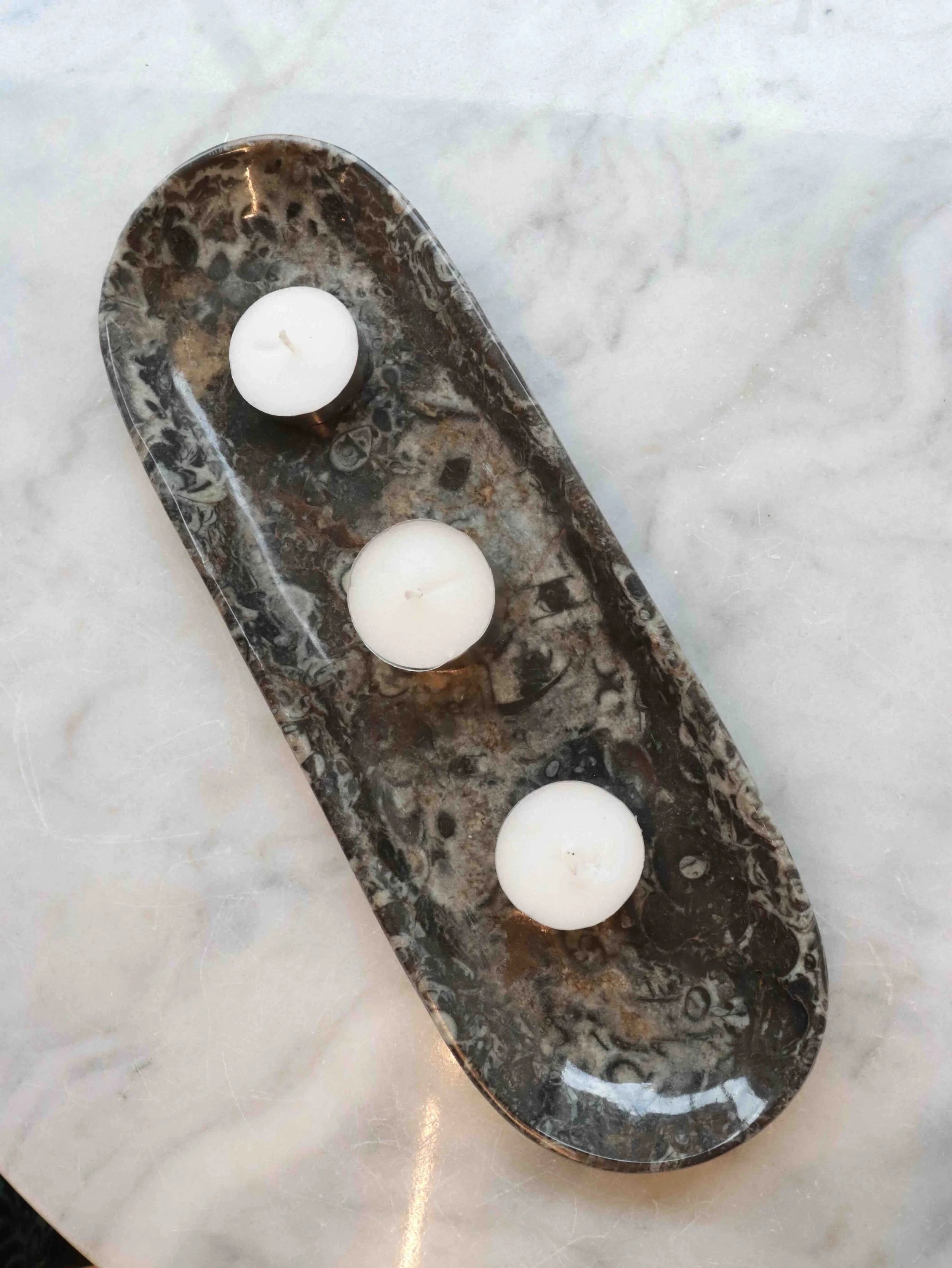 Plat en fossile d'Orthocéras | Réconcilier son passé et son présent