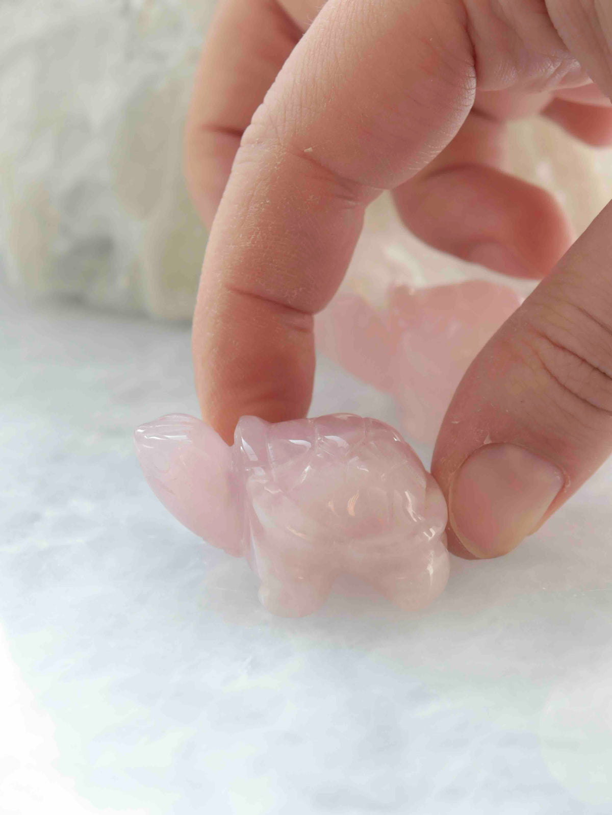 Détail de la tortue sculptée dans le quartz rose.